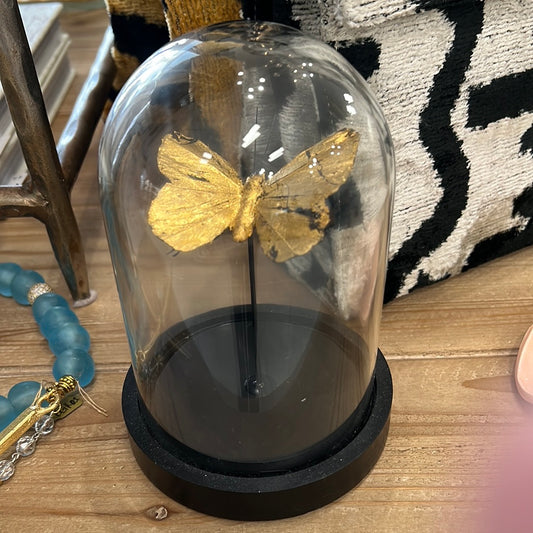 BF1 BUTTERFLY UNDER GLASS DOME