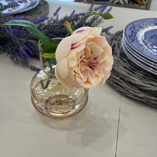 English Rose in Vase